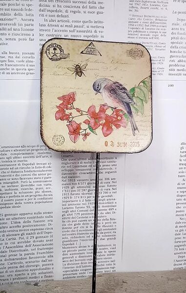 Etichetta botanica